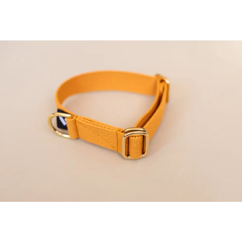 Cotton Collar - X-Small / Pumpkin / Slip-on