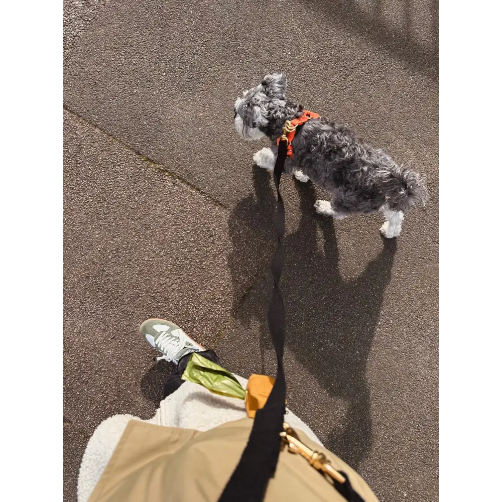 Cotton Harness