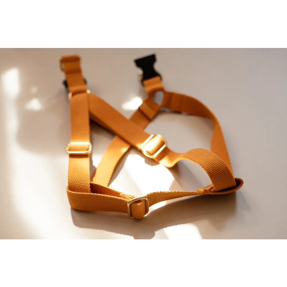 Cotton Harness