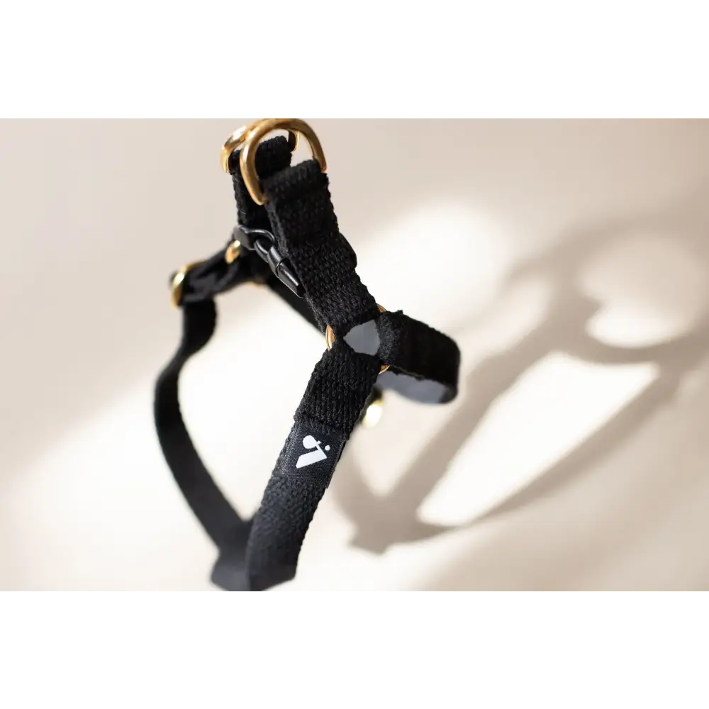 Cotton Harness