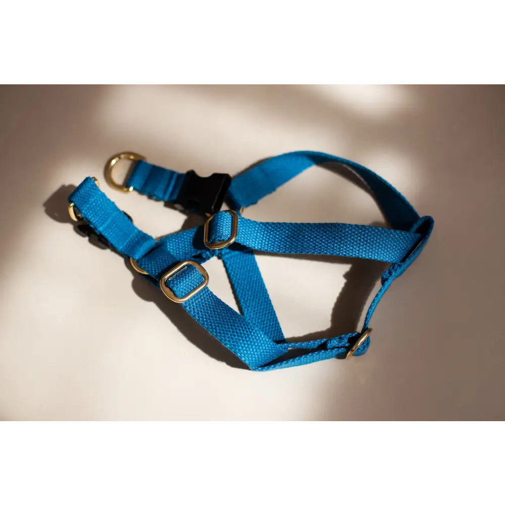 Cotton Harness - X-Small / Azure blue