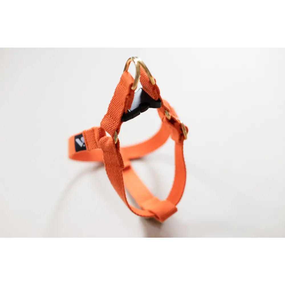 Cotton Harness - X-Small / Orange