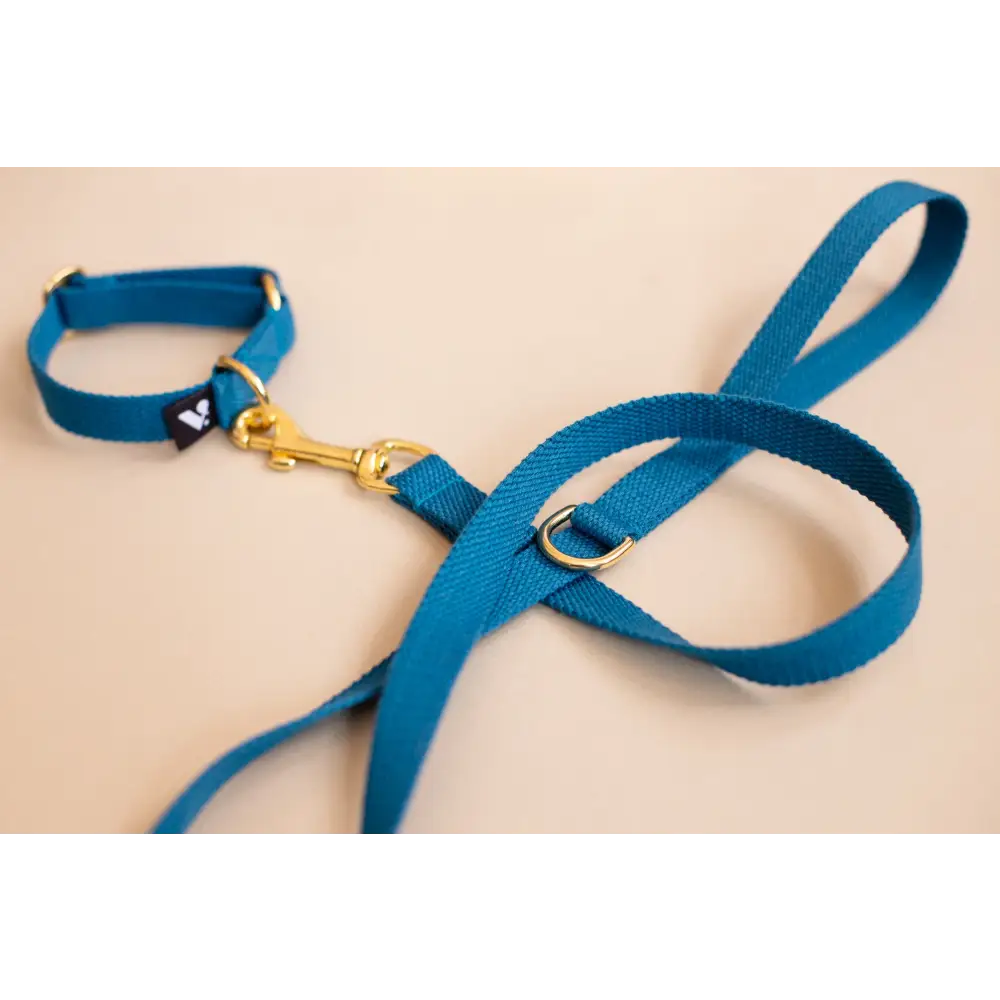 Cotton Lead - Slim / Azure blue - Dog leash