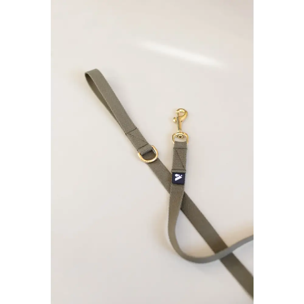 Cotton Lead - Slim / Olive - Dog leash