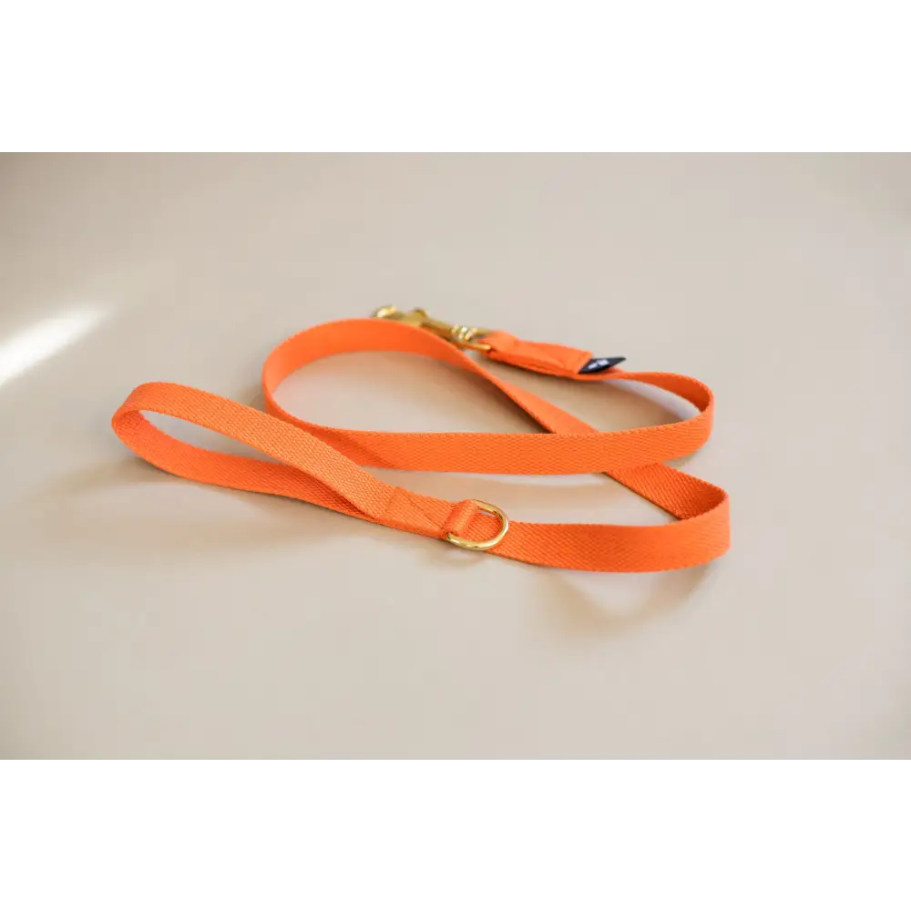 Cotton Lead - Slim / Orange - Dog leash