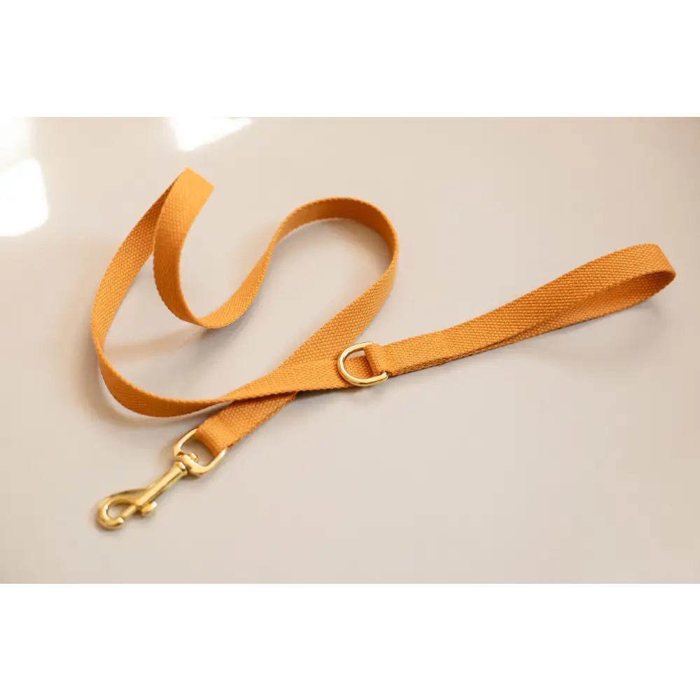 Cotton Lead - Slim / Pumpkin - Dog leash