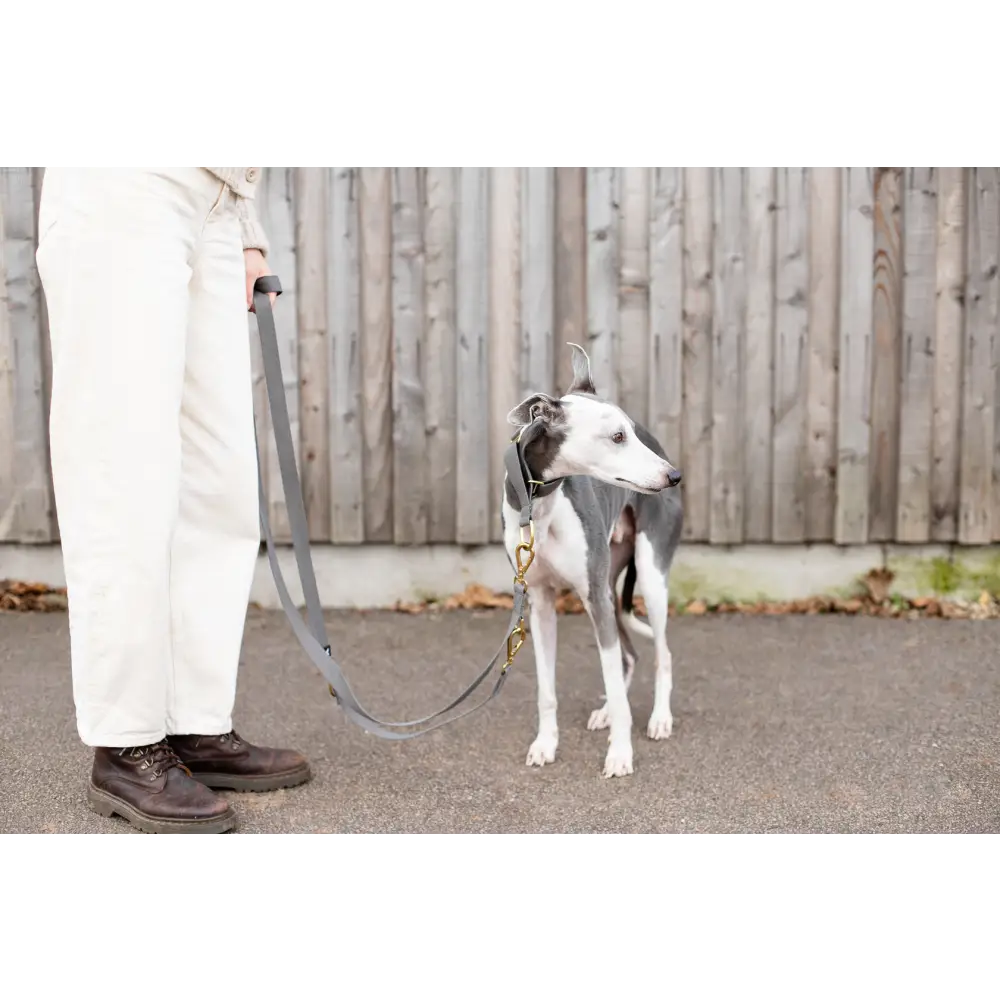 Cotton Martingale Collar