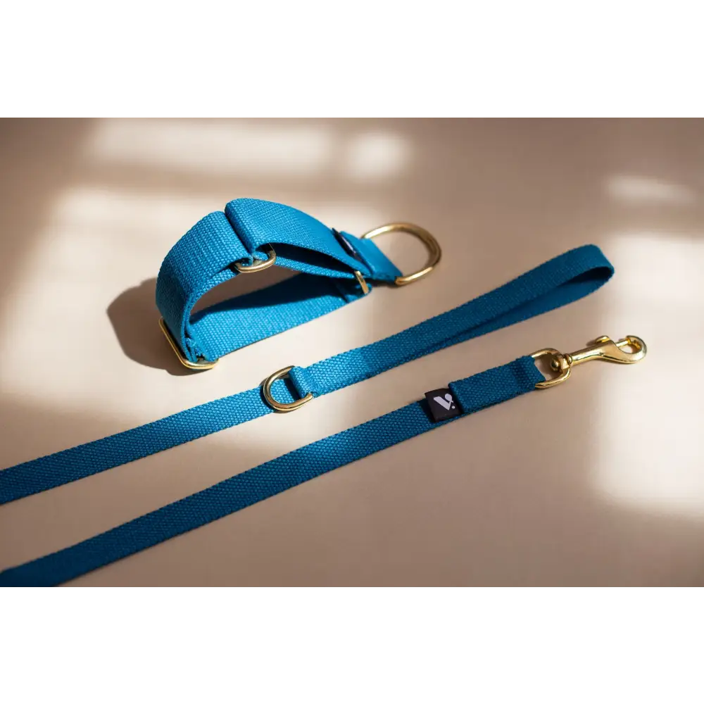 Cotton Martingale Collar - X-Small / Azure blue