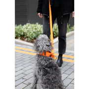 Cotton Martingale Collar - X-Small / Orange