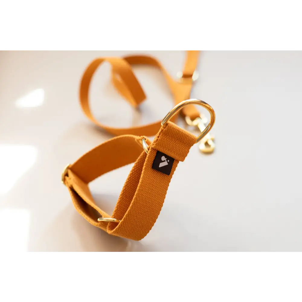 Cotton Martingale Collar - X-Small / Pumpkin