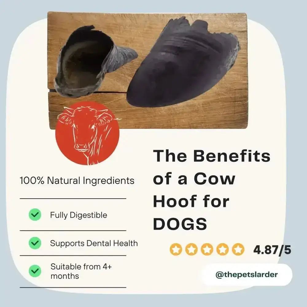 Cow hooves chew toy for dogs from Pets Larder Cow, natural black and brown with green benefit highlights