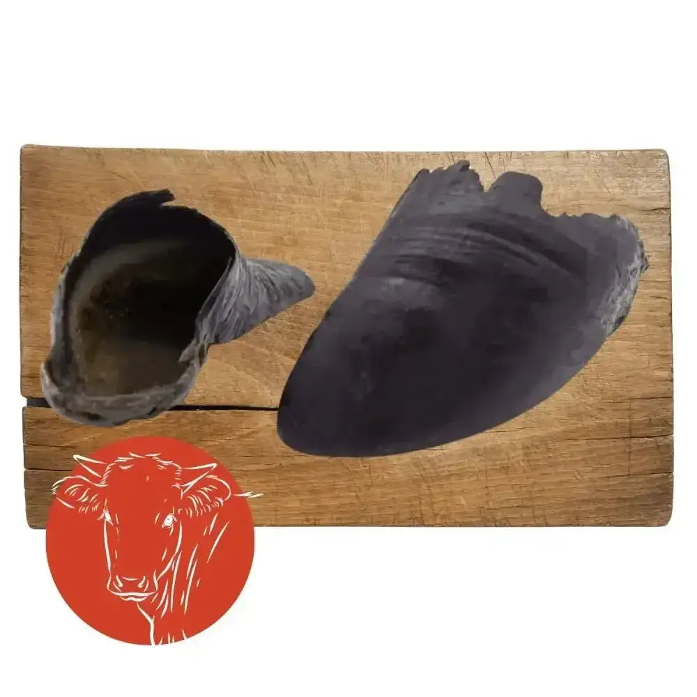 Charcoal mussel shells on wooden board with Pets Larder Cow Hooves for dogs