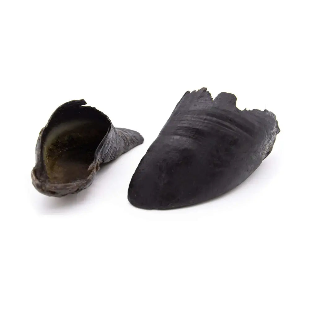 Pets Larder Cow Hooves in Black Leather Moccasin Slippers