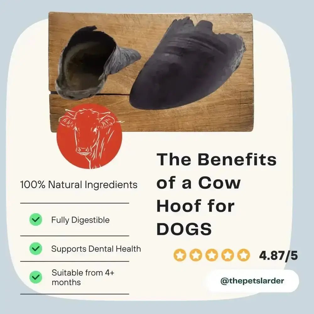 Cow hooves chew toy for dogs from Pets Larder Cow, natural black and brown with green benefit highlights