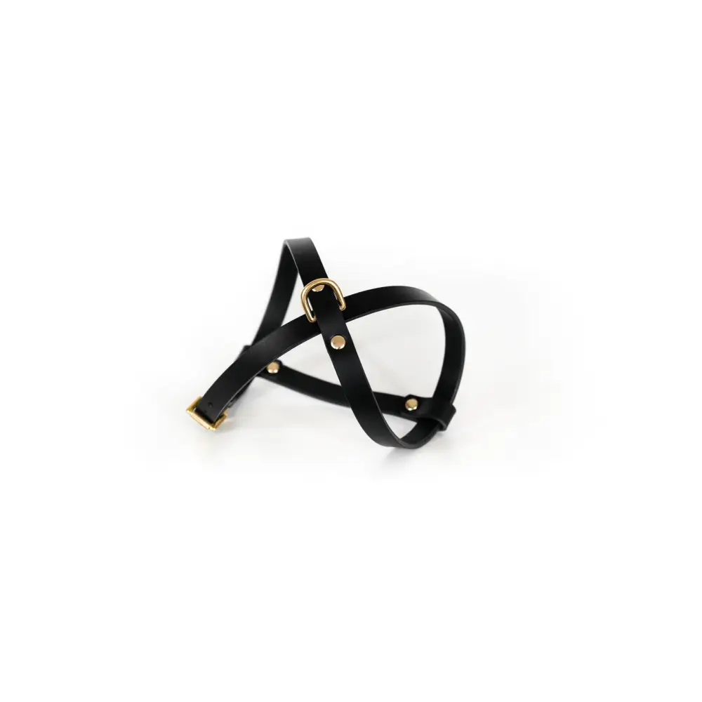 Cross Leather Harness