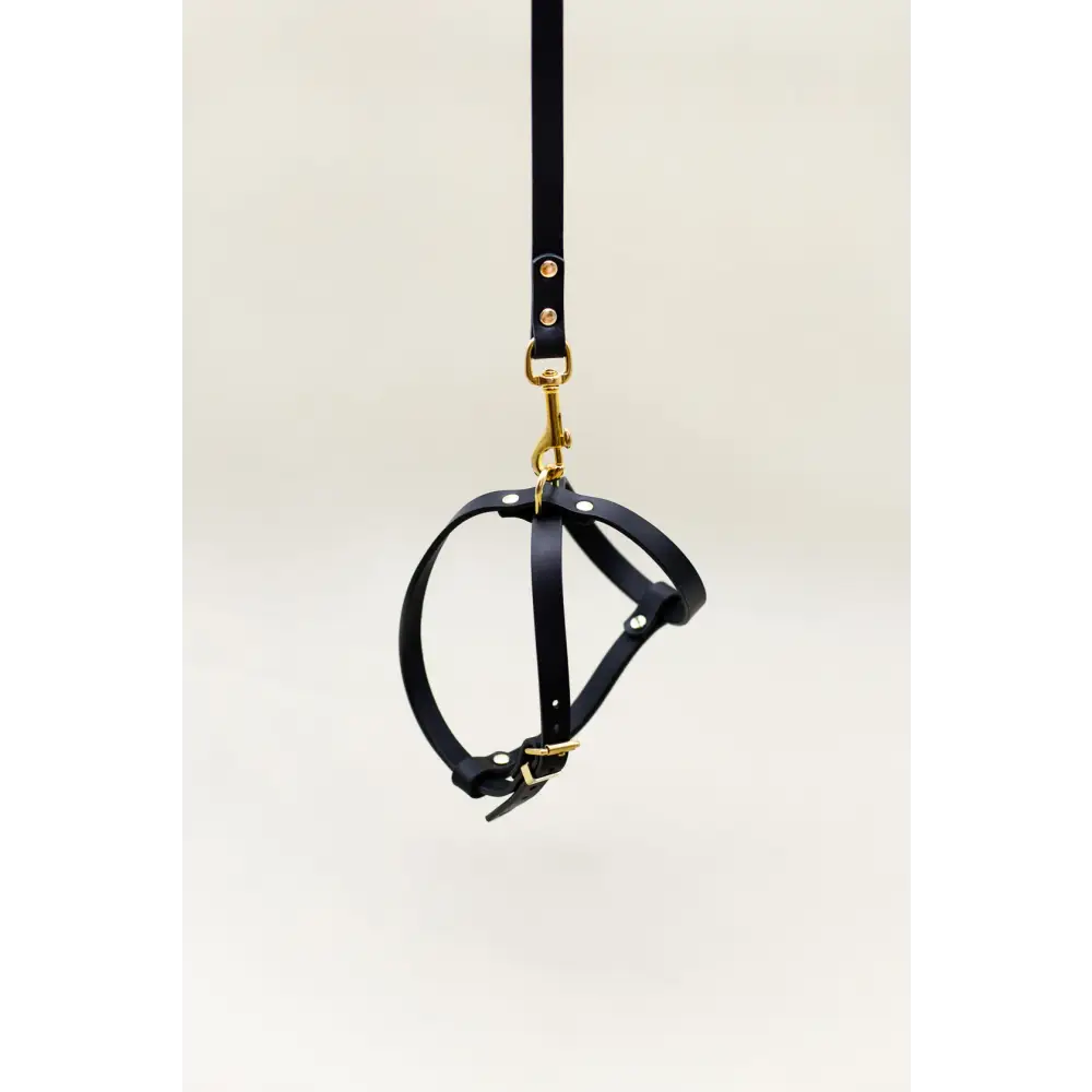 Cross Leather Harness