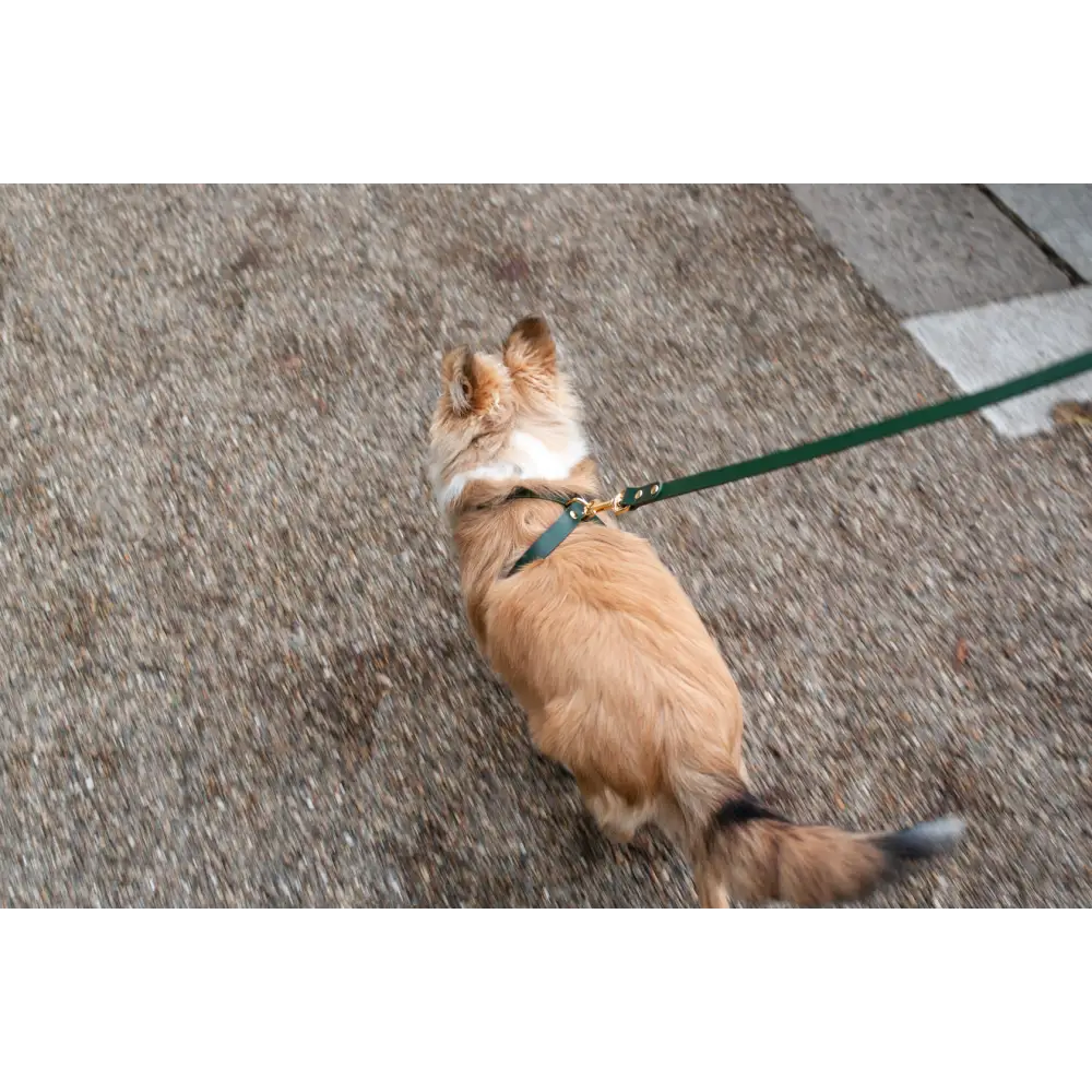 Cross Leather Harness