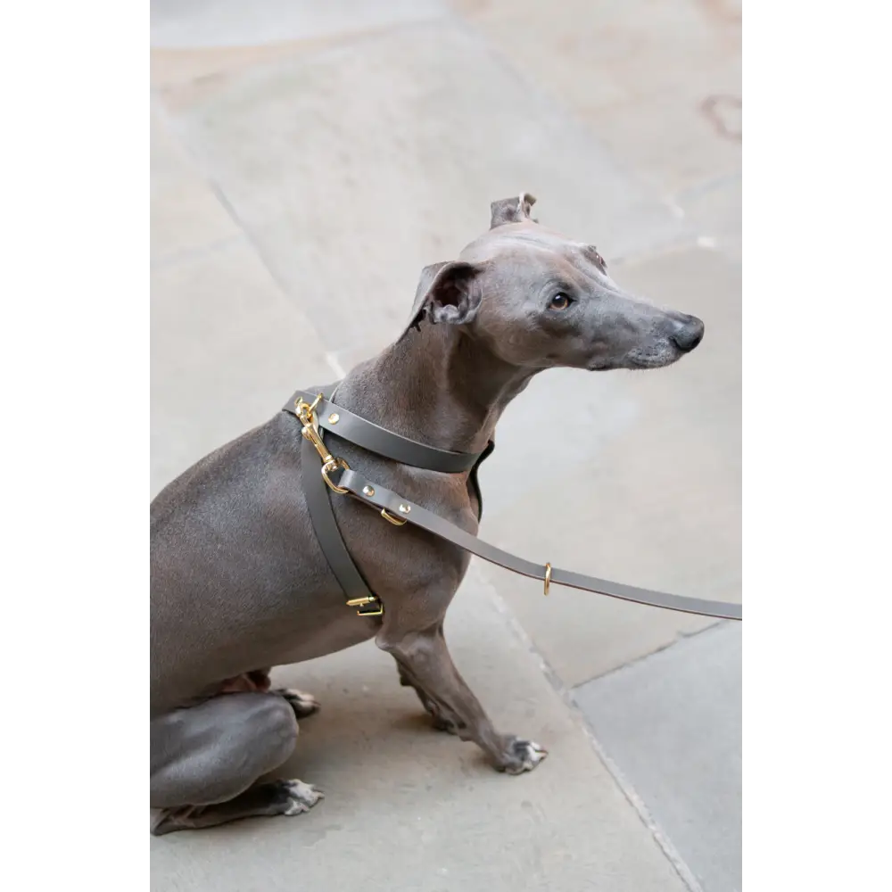 Cross Leather Harness - XX-Small / Clay