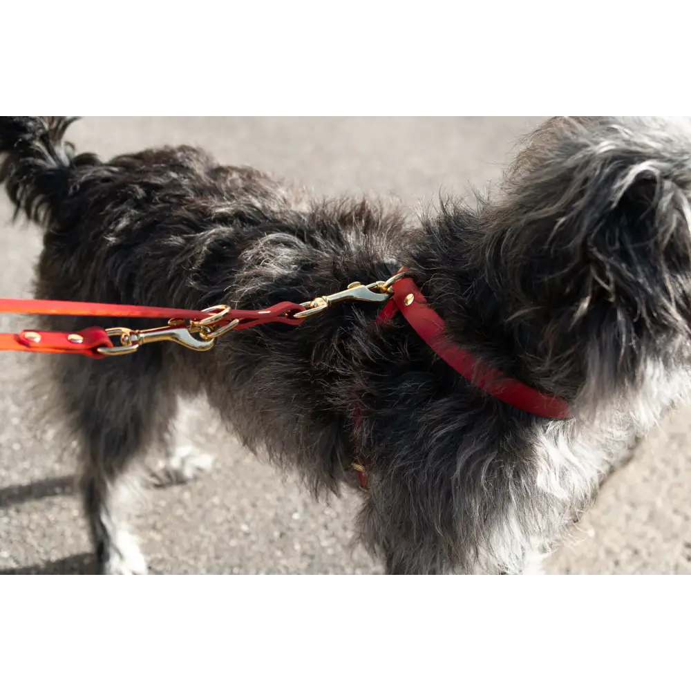 Cross Leather Harness - XX-Small / Red