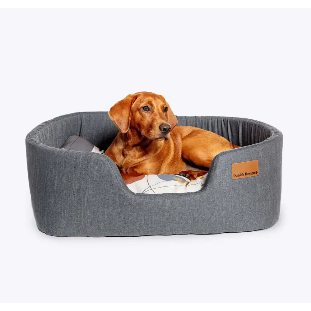 Danish Design Colour Block Steel Lux Slumber Bed Available At The Pets Larder Natural Pet Shop