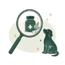 A dark green illustrated dog sits attentively beside a magnifying glass that focuses on a medicine bottle with a white cross and accompanying pills.