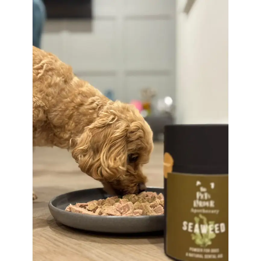 Dental Seaweed for Dogs: Seaweed powder in brown and green packaging for dog’s dental health and reduce plaque in dogs