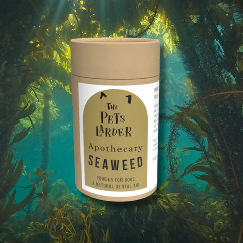 Dental Seaweed for Dogs: Plaque Removal - Dog Supplements