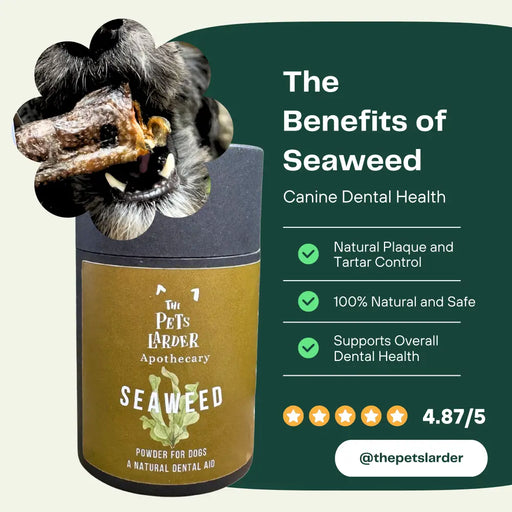 Dental Seaweed for Dogs: Plaque Removal - Dog Supplements