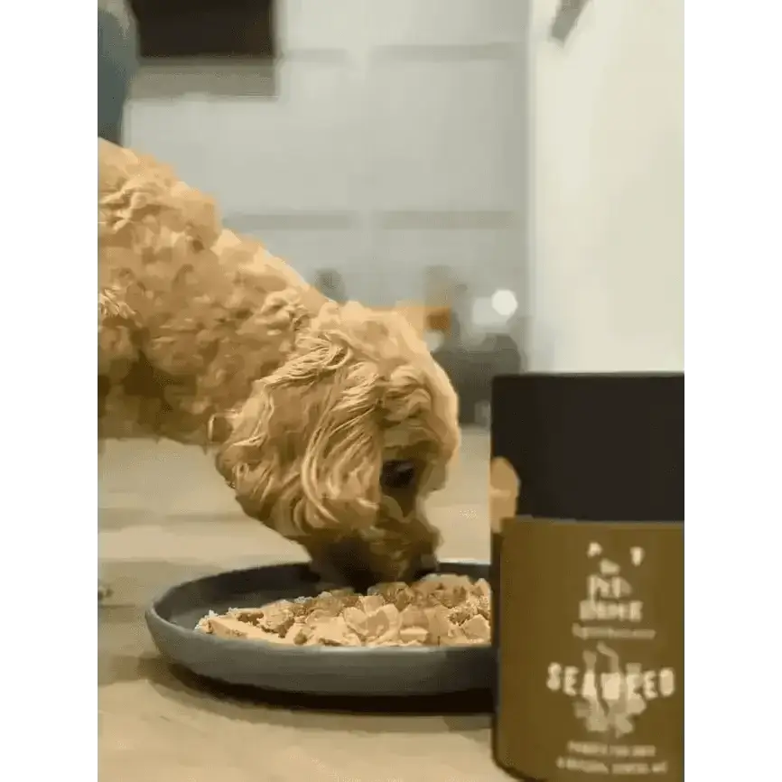 Dental Seaweed for Dogs: Seaweed powder in brown and green packaging for dog’s dental health and reduce plaque in dogs