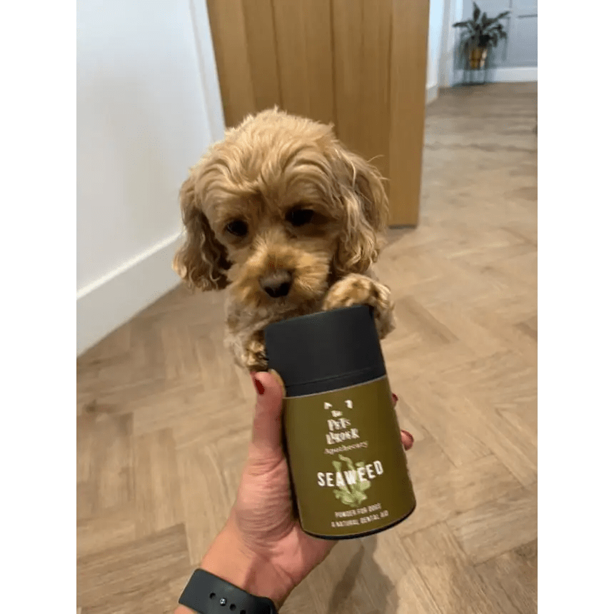 Pet Zone Green Seaweed Spray for Dogs Dental Health, Reduces Plaque