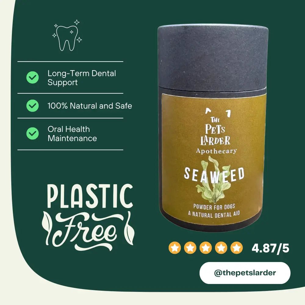 Green plastic-free dental seaweed powder container for dog’s dental health
