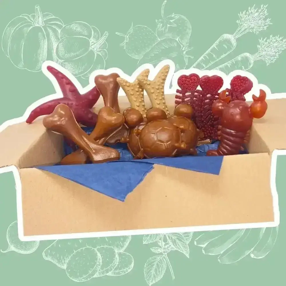 Chocolate bone-shaped dog treats in a cardboard box with blue tissue paper for dental vegetable chew