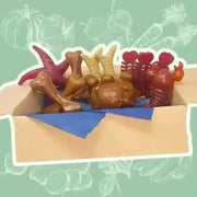 Chocolate bone-shaped dog treats in a cardboard box with blue tissue paper for dental vegetable chew