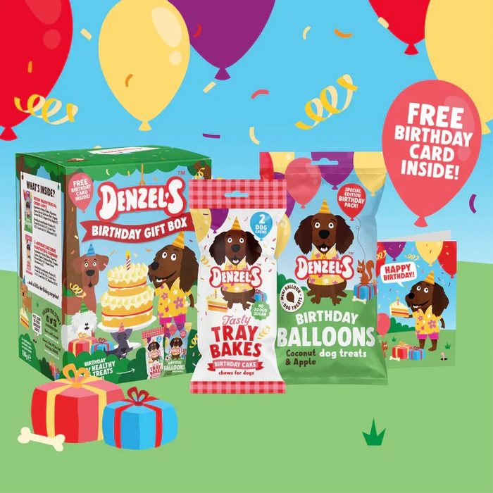 Denzel’s Birthday Box for Dogs - Natural Treats For Dogs