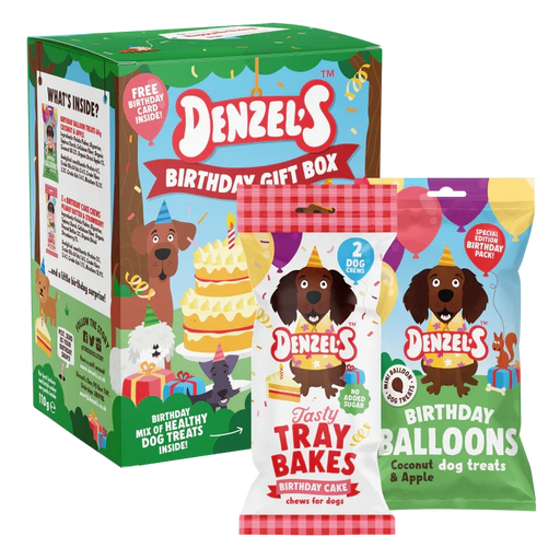 Denzel’s Birthday Box for Dogs - Natural Treats For Dogs