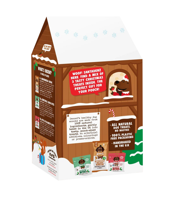 Denzel's Christmas Grotto Gift Box | Festive natural treats for dogs