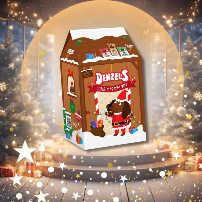 Denzel's Christmas Grotto Gift Box | Festive natural treats for dogs