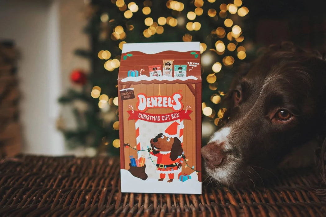 Denzel's Christmas Grotto Gift Box | Festive natural treats for dogs