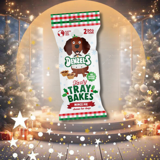 Denzel's Tasty Tray Bakes Mince Pie | Natural Christmas treats for dogs