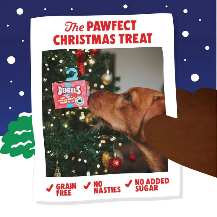 Denzel's Tasty Tray Bakes Mince Pie | Natural Christmas treats for dogs