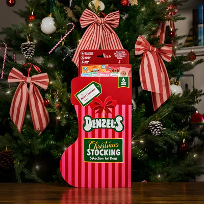 Denzel's Christmas Stocking For Dogs
