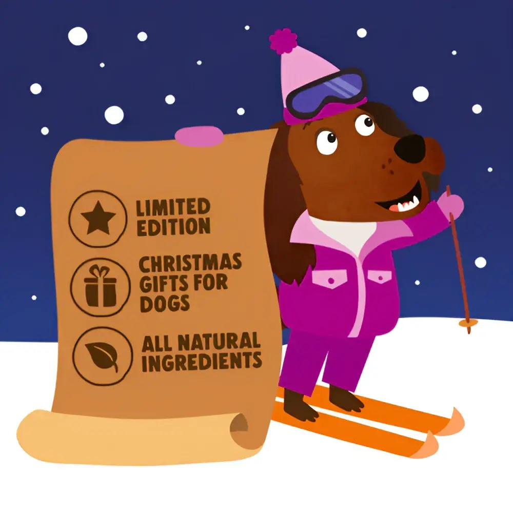 Denzel’s Christmas Stocking for Dogs with natural ingredients and purple ski design