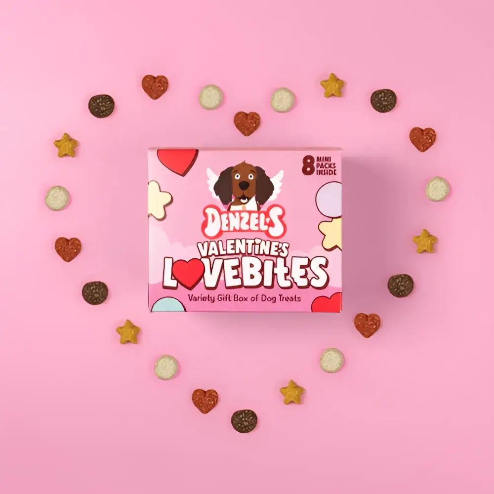 Denzel’s Lovebites Valentine’s box with winged dachshund and heart treats
