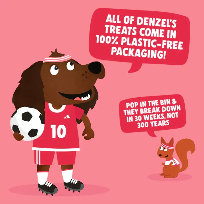 Denzel’s Training Bites Salmon & Avocado 100g Natural Treats For Dogs