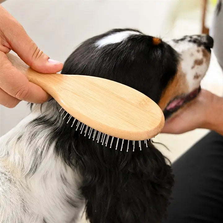 Dogwood Pin Brush - Natural Pet Shop