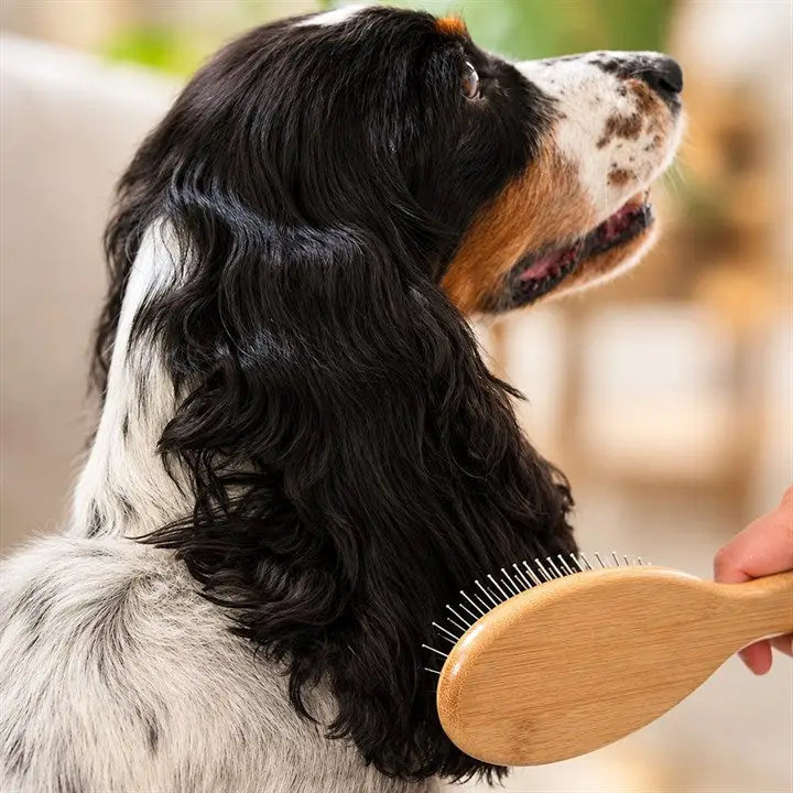Dogwood Pin Brush - Natural Pet Shop