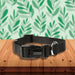 Doodlebone coal colour collar for dogs