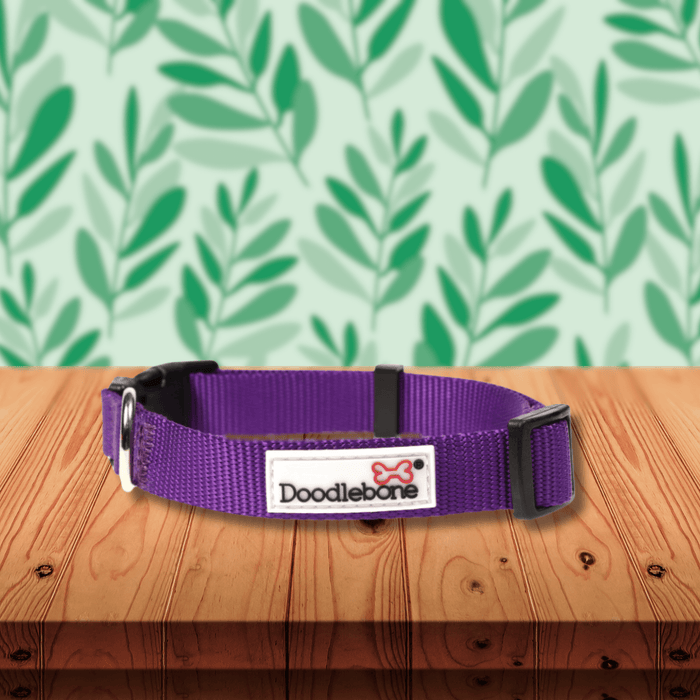 Doodlebone Originals Collar Violet Doodlebone