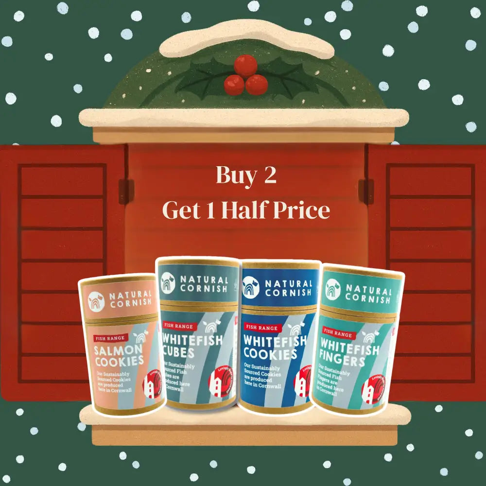 Four Natural Cornish Dog Treat Tubes in Advent Calendar Collection