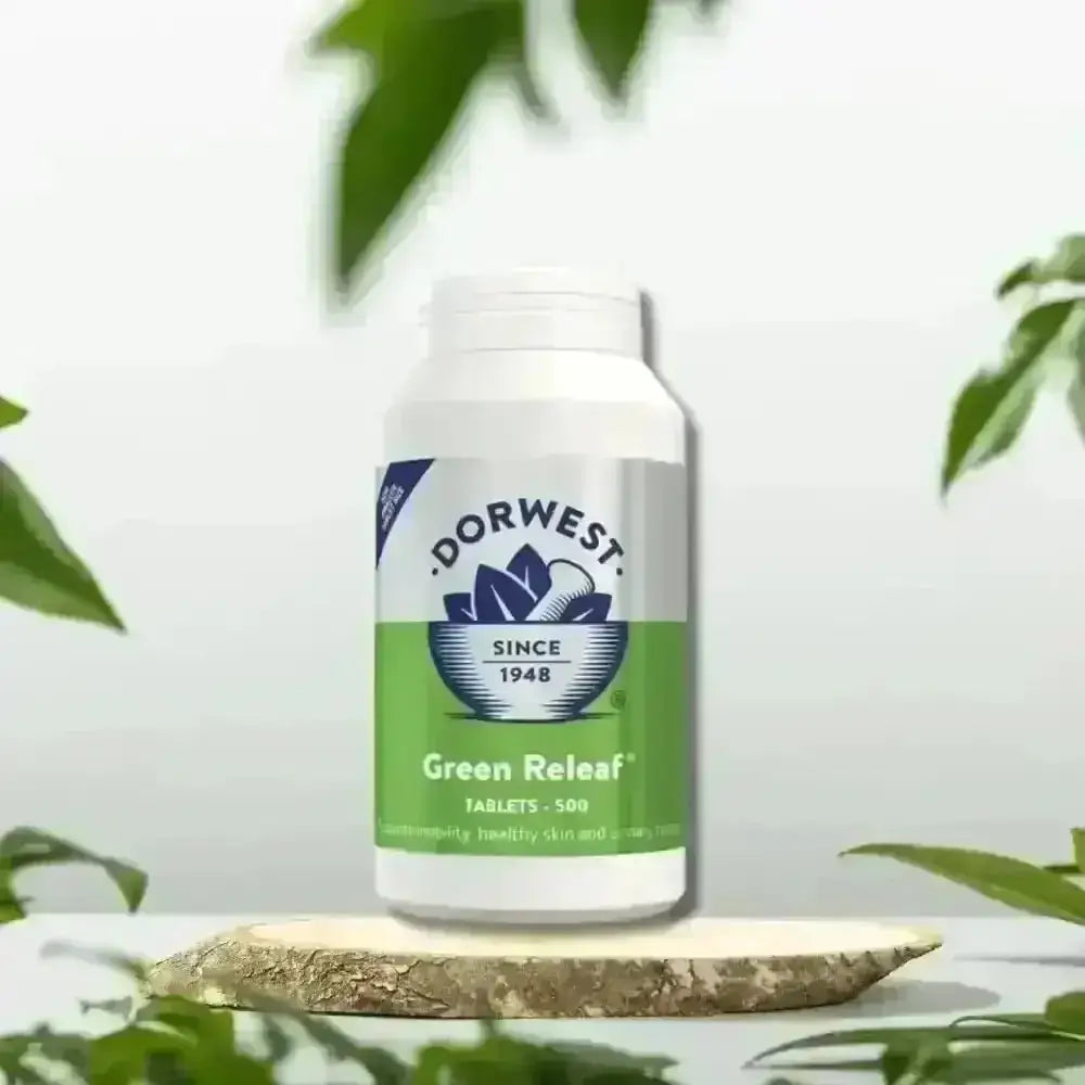 Dorwest Green Releaf bottle with 500 green releaf tablets